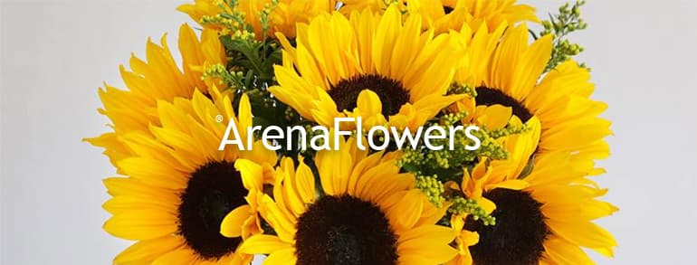 Arena Flowers Promo Codes 2019