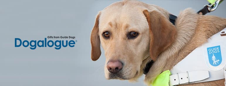 Dogalogue Discount Codes 2019