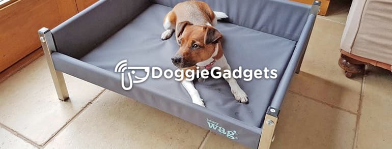 Doggie Gadgets Discount Codes 2019