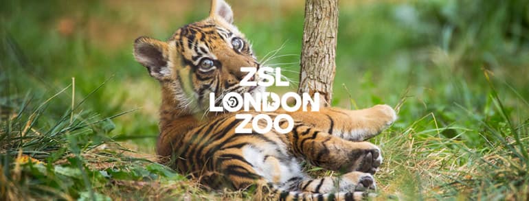 London Zoo Voucher Codes 2018