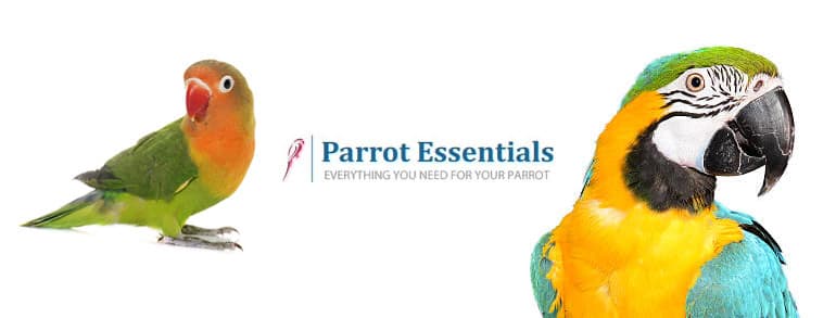 Parrot Essentials Promo Codes 2021