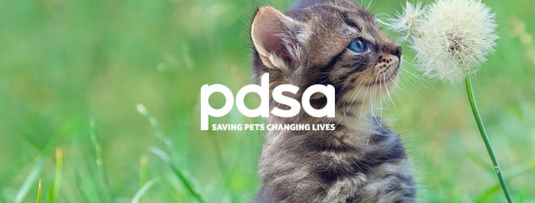 PDSA Discount Codes 2020