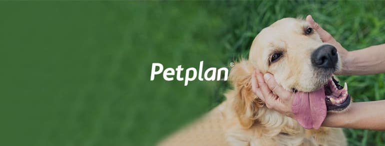 Petplan Voucher Codes 2018