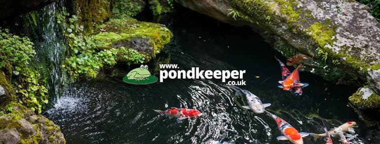 Pondkeeper Discount Codes 2021