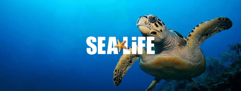 Sealife Voucher Codes 2019