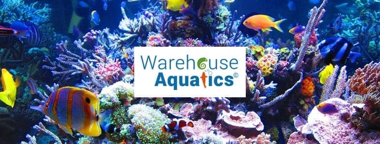 Warehouse Aquatics Voucher Codes 2019