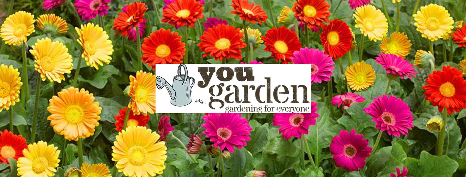You Garden Offer Codes 2019