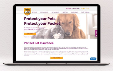 10 Off Perfect Pet Insurance Discount Codes 2021 Net Voucher Codes