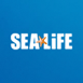 Sealife